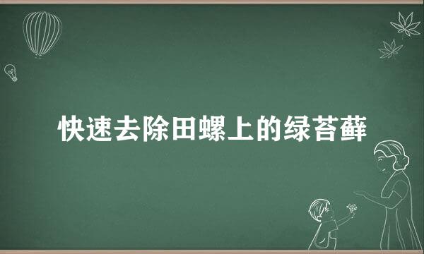 快速去除田螺上的绿苔藓